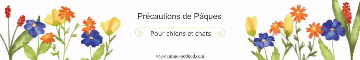 Protégez votre chien et chat en prenant des précautions pendant Pâques