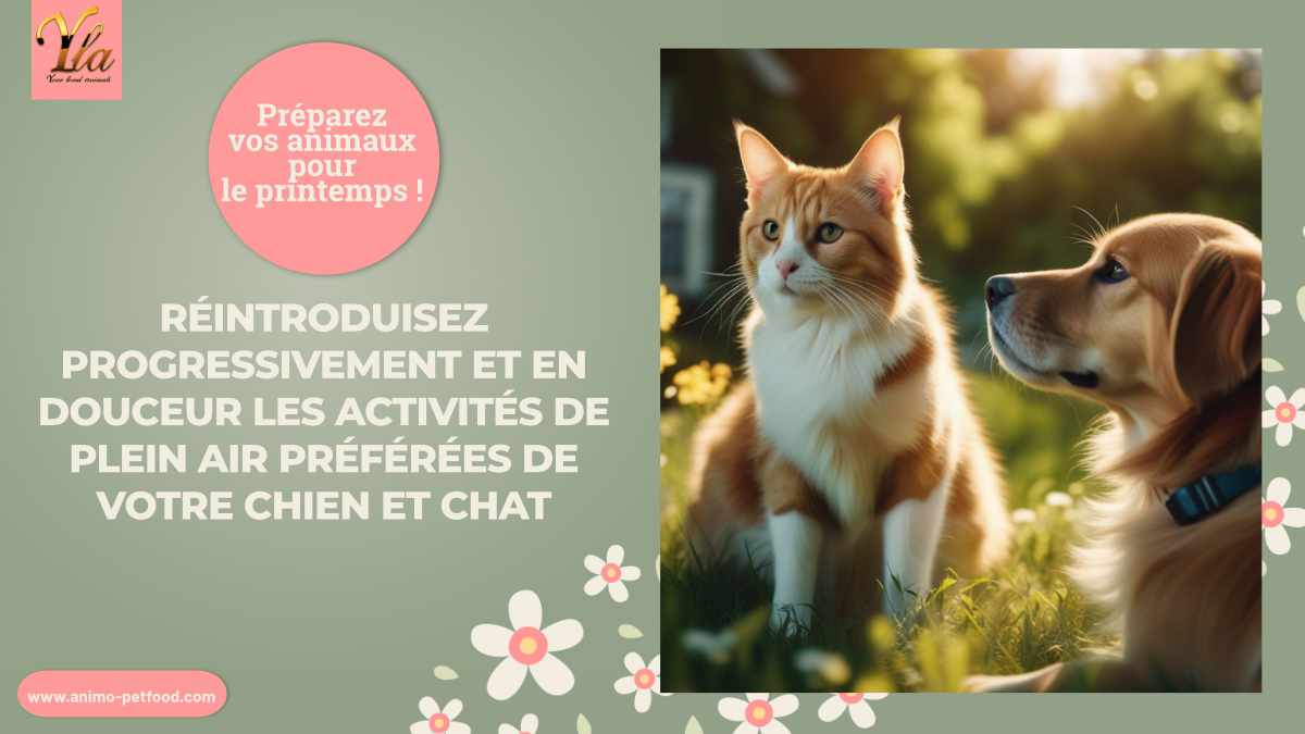 Préparez vos chiens et chats pour le printemps ! Réintroduisez progressivement et en douceur les activités de plein air préférées de votre  animal