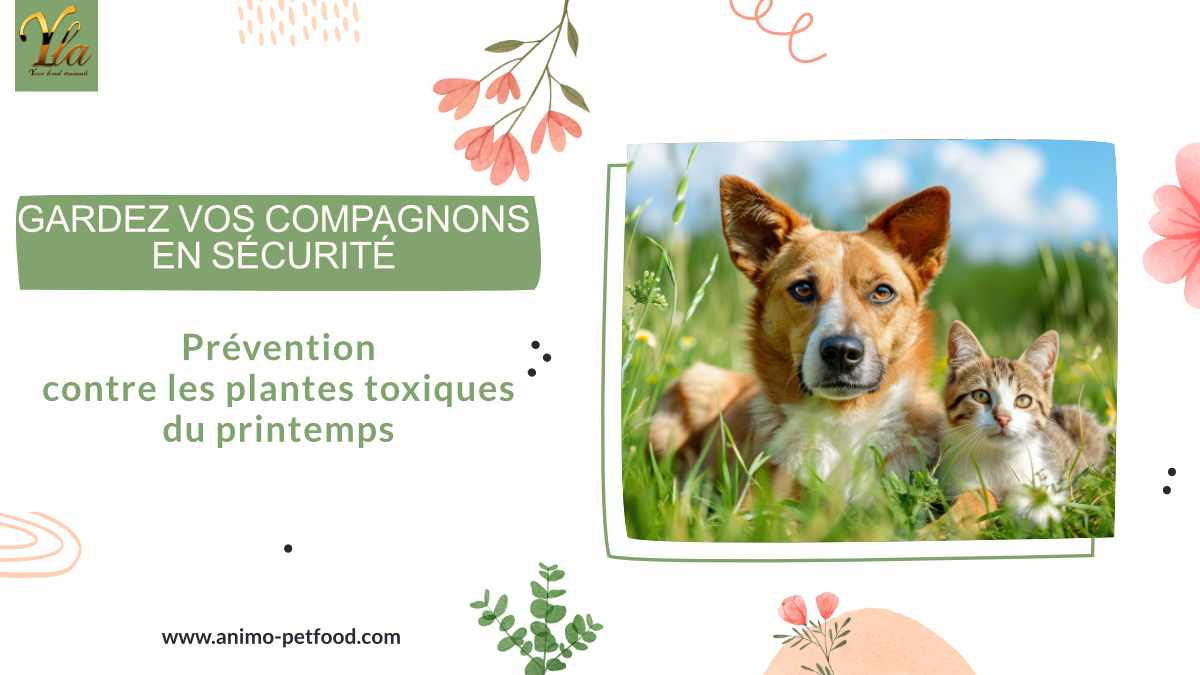 Animaux en sécurité : Prévention contre les plantes toxiques du printemps