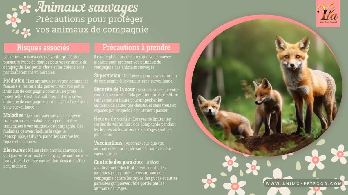 Conseils pour protéger vos animaux de compagnie des animaux sauvages, y compris la supervision, la sécurité de la cour, les heures de sortie, les vaccinations, et le contrôle des parasites