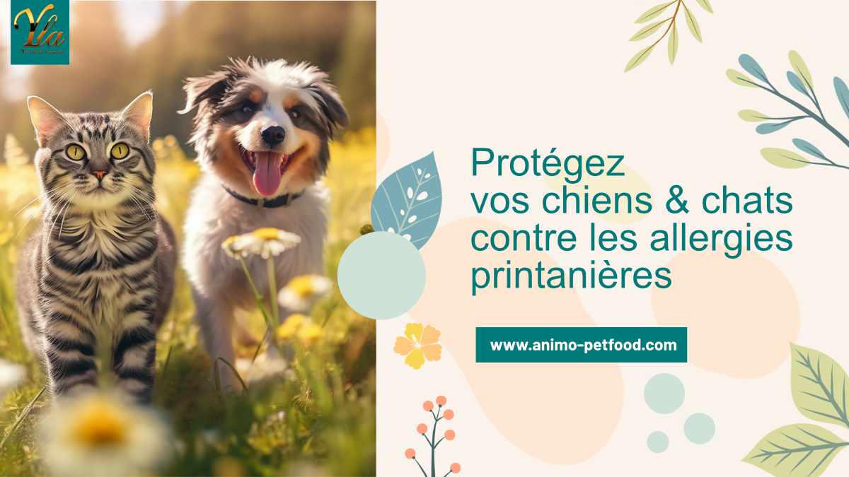 Chiens et chats protégés contre les allergies printanières