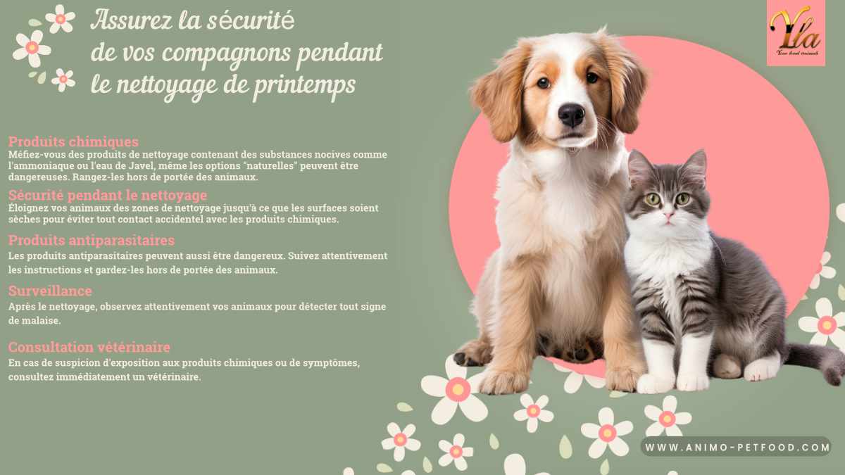 Sécurité nettoyage printemps pour chien et chat - Protégez vos compagnons pendant le nettoyage. Méfiez-vous des produits chimiques, gardez les animaux à l'écart, suivez les instructions des antiparasitaires, surveillez leur bien-être