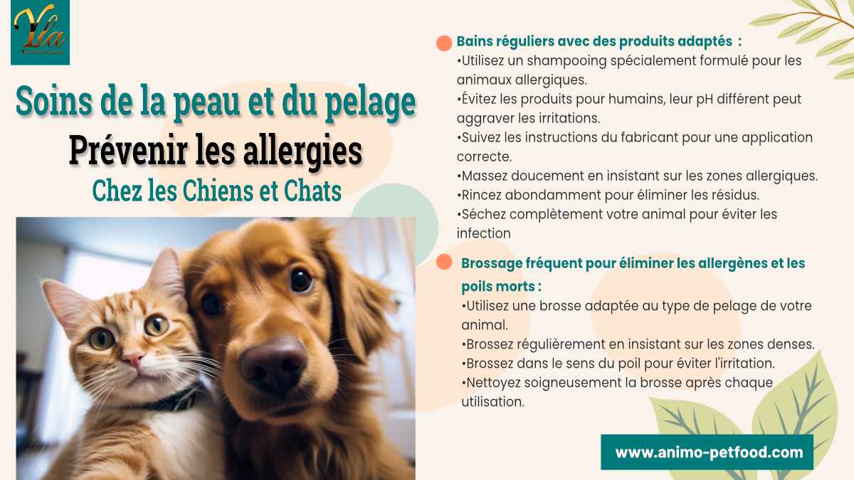 conseils pour des soins de la peau et du pelage préventifs chez les chiens et chats pour réduire les allergies