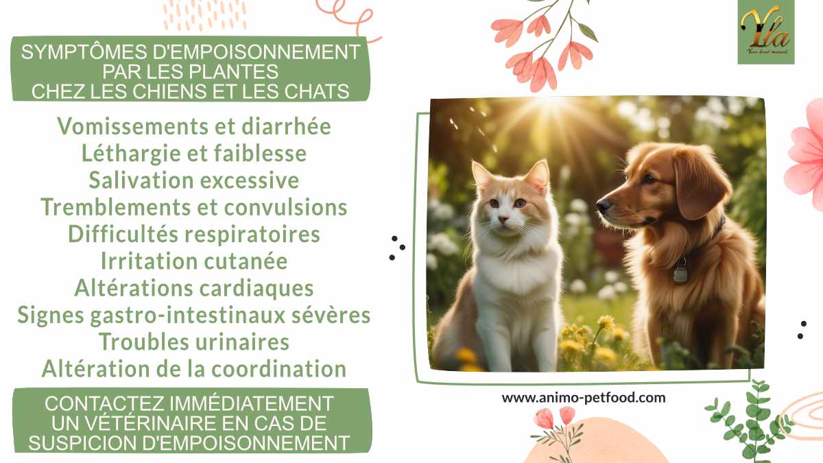 Symptômes d'empoisonnement par les plantes chez les chiens et les chats