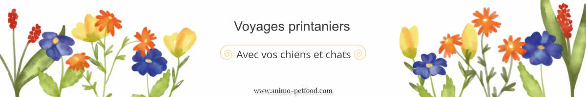 Voyages printaniers chiens chats préparation conseils sécurité