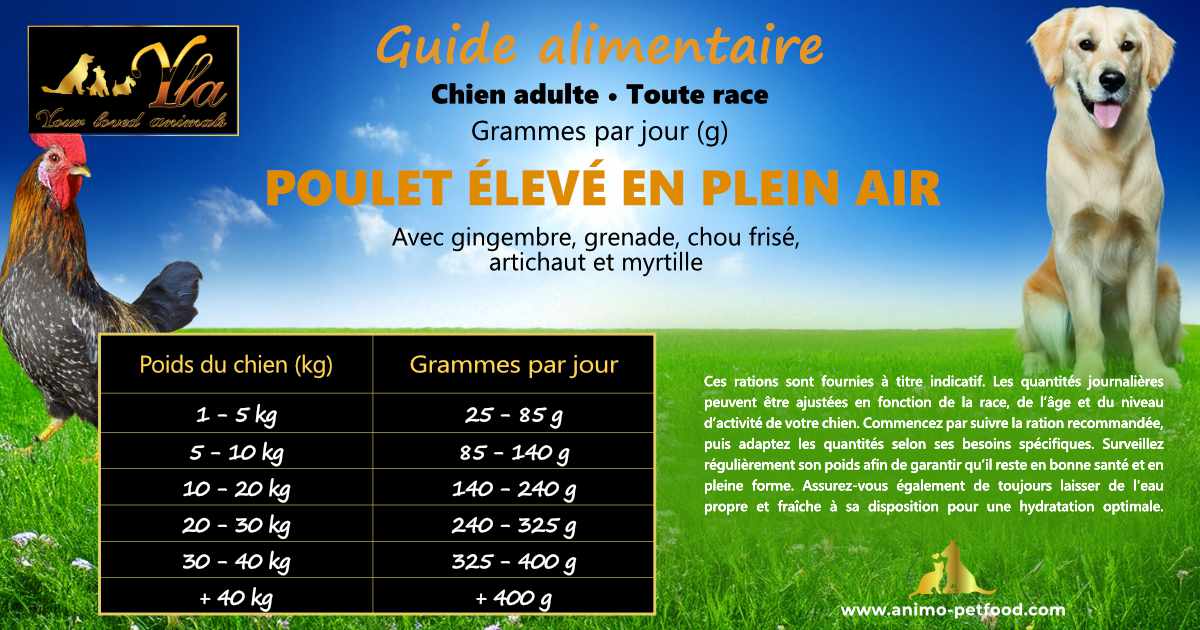 Guide alimentaire croquettes au poulet pour chien adulte.