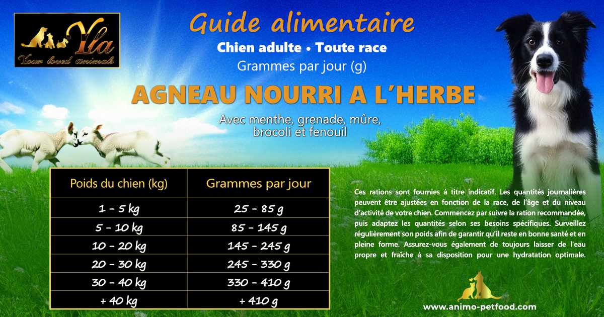 Ration journalière de croquettes hypoallergéniques à l’agneau pour chien adulte