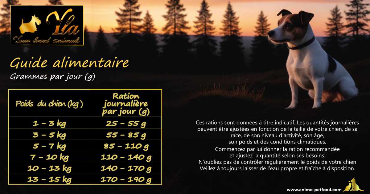 Rations adaptées aux besoins nutritionnels des chiens de petite taille
