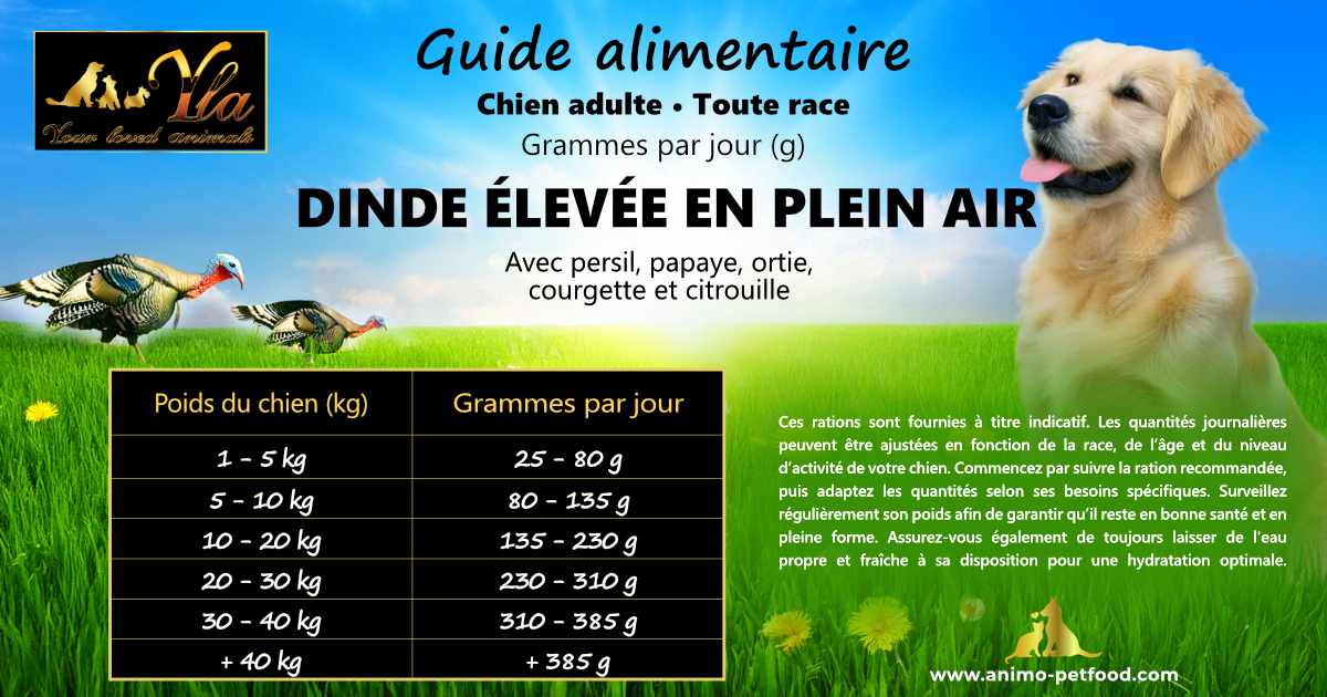 Guide nutritionnel et conseils d’alimentation pour croquettes dinde sans céréales