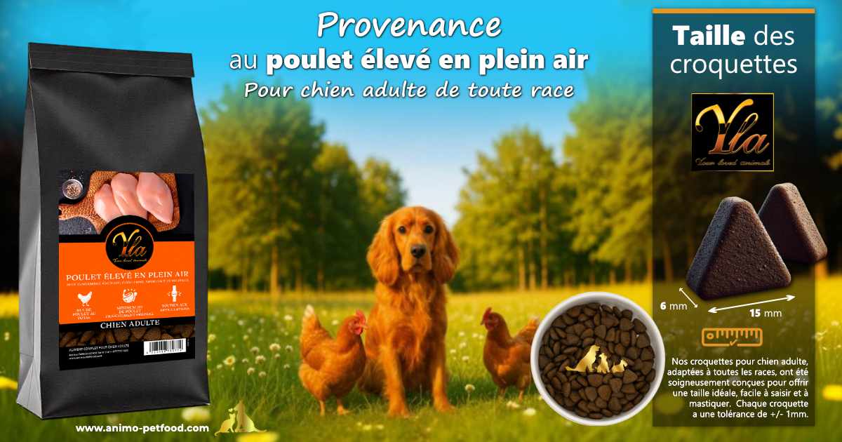 Croquettes au poulet sans céréales adaptées à toutes les tailles de chien adulte