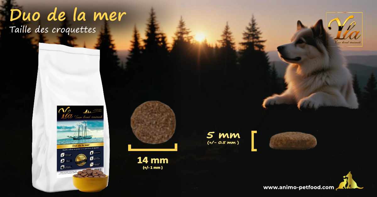 Croquettes rondes au saumon et thon pour une mastication saine chez le chien