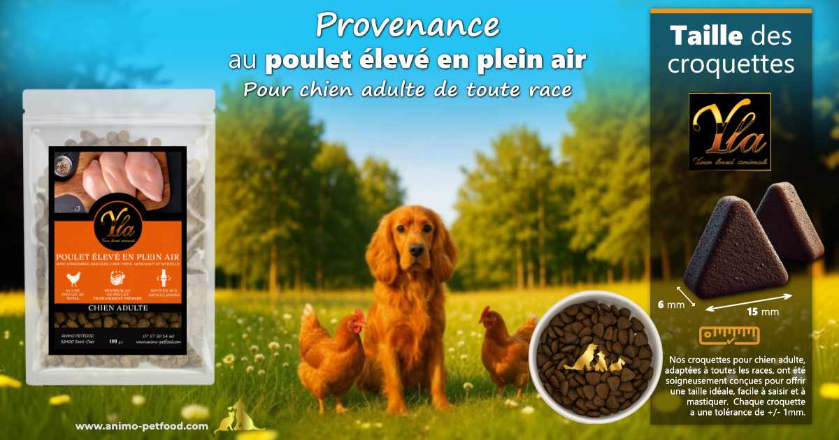 Taille des croquettes au poulet sans céréales pour chien adulte, forme étudiée pour digestion lente et naturelle
