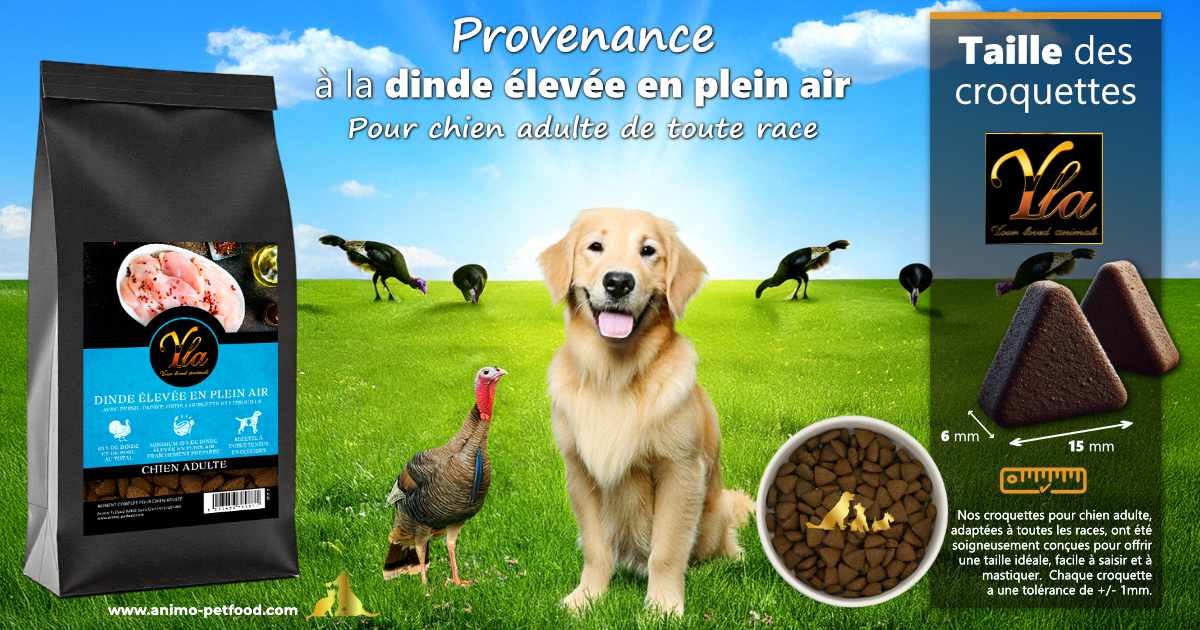 Croquettes triangulaires de 15 mm favorisant la mastication et l’hygiène dentaire