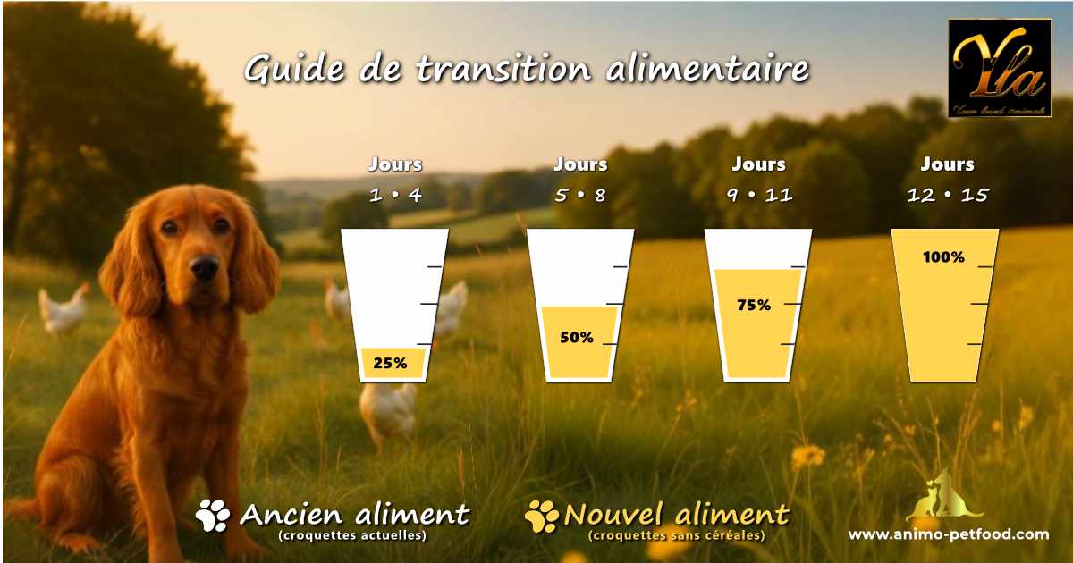 Courbe explicative de transition croquettes chien vers une alimentation naturelle