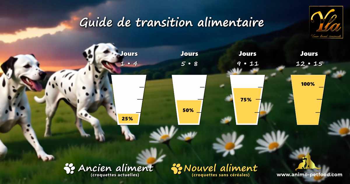Recommandation visuelle pour une transition croquettes sans céréales sur 15 jours