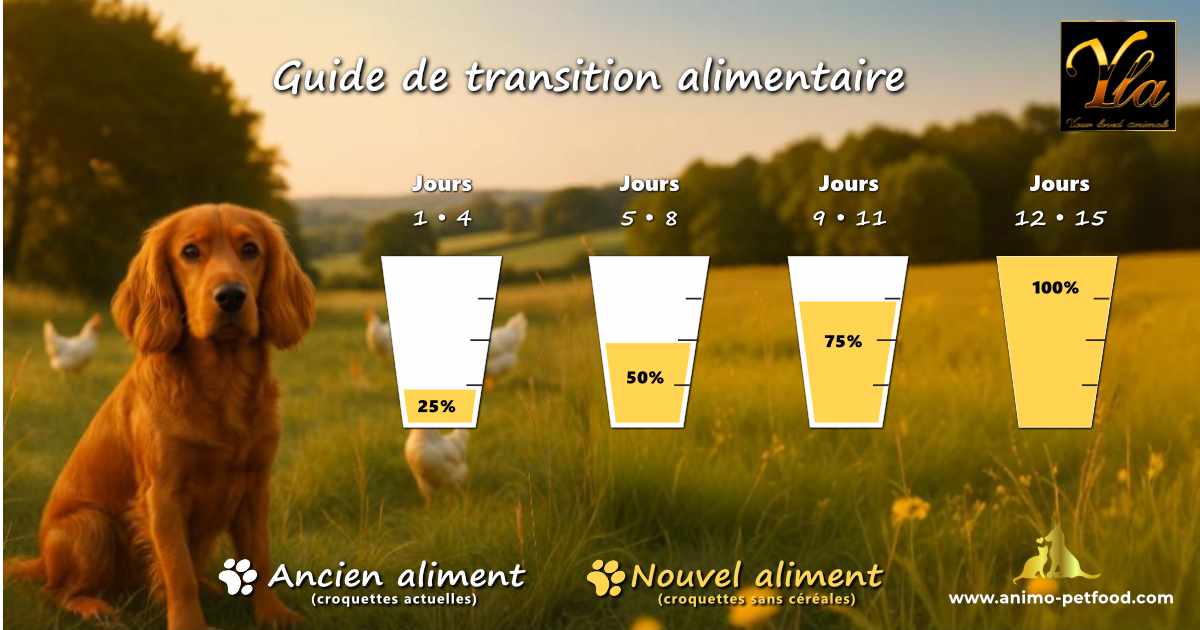 Guide de transition alimentaire pour chien, croquettes naturelles sans céréales