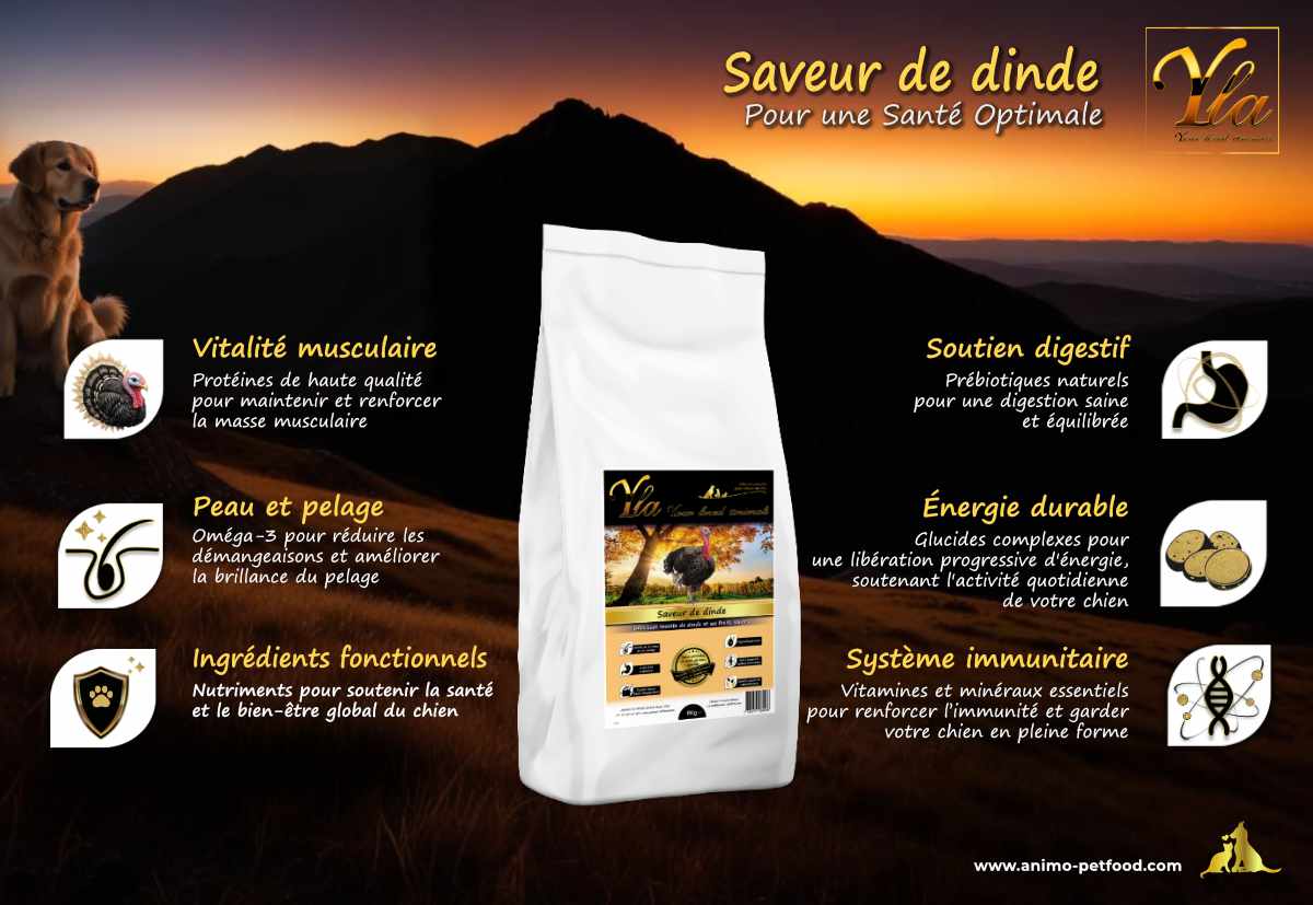 Croquettes hypoallergéniques à la dinde, idéales pour les chiens souffrant d'allergies alimentaires et d'intolérances.