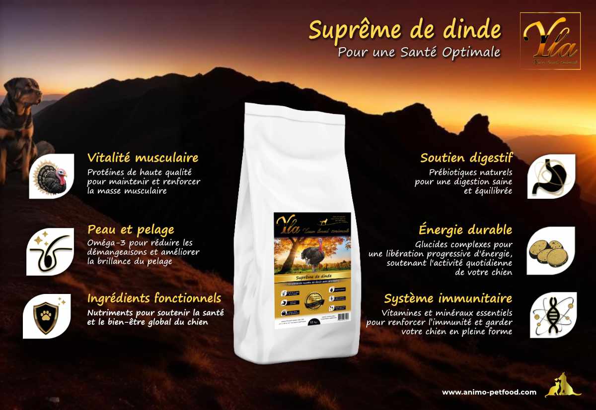 Croquettes sans céréales à la dinde, pour chien de grande race, avec des prébiotiques pour une digestion saine et un pelage brillant