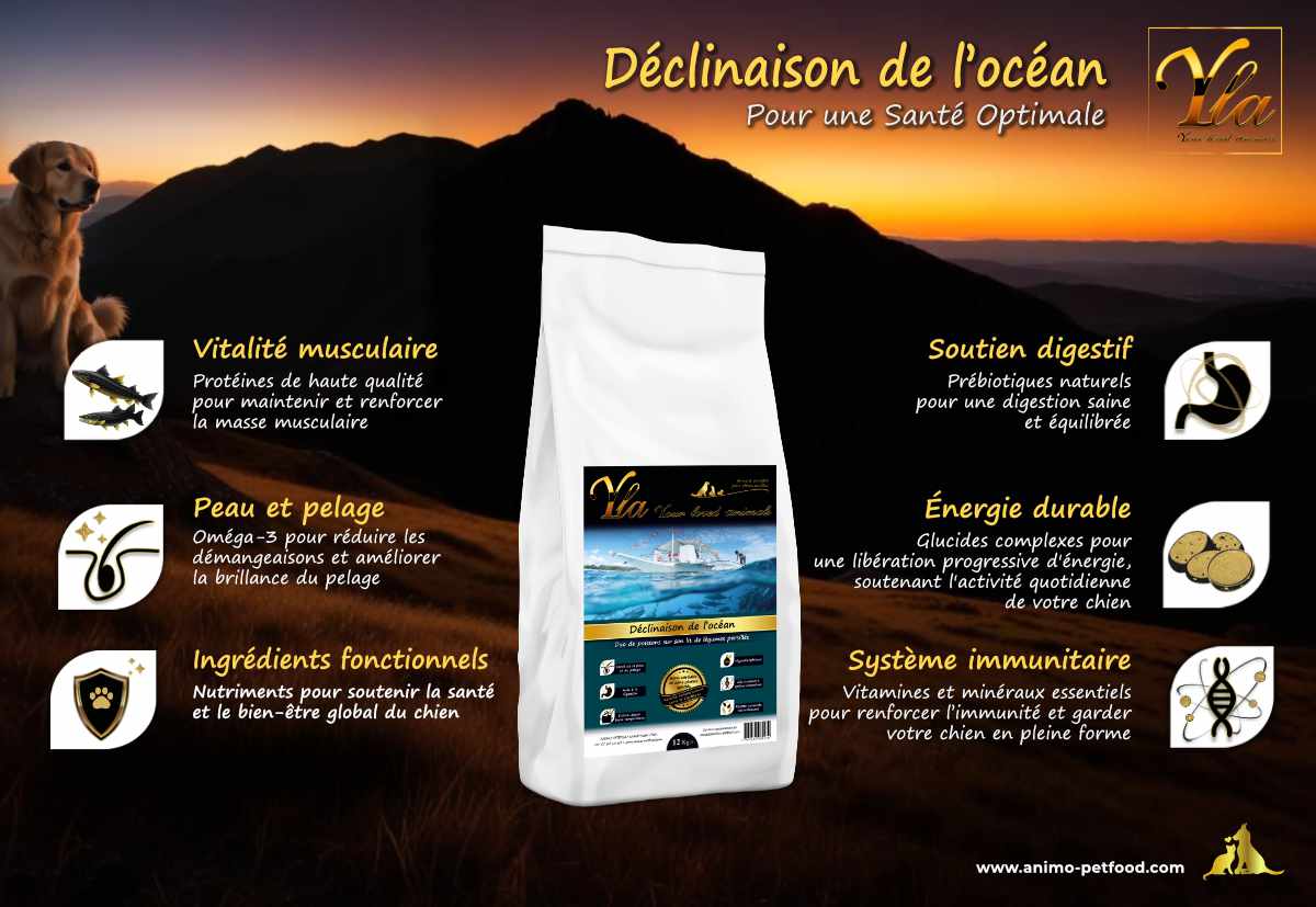 Croquettes hypoallergéniques pour chiens souffrant d’allergies, formulées pour les problèmes de peau et de pelage, au saumon et aiglefin.