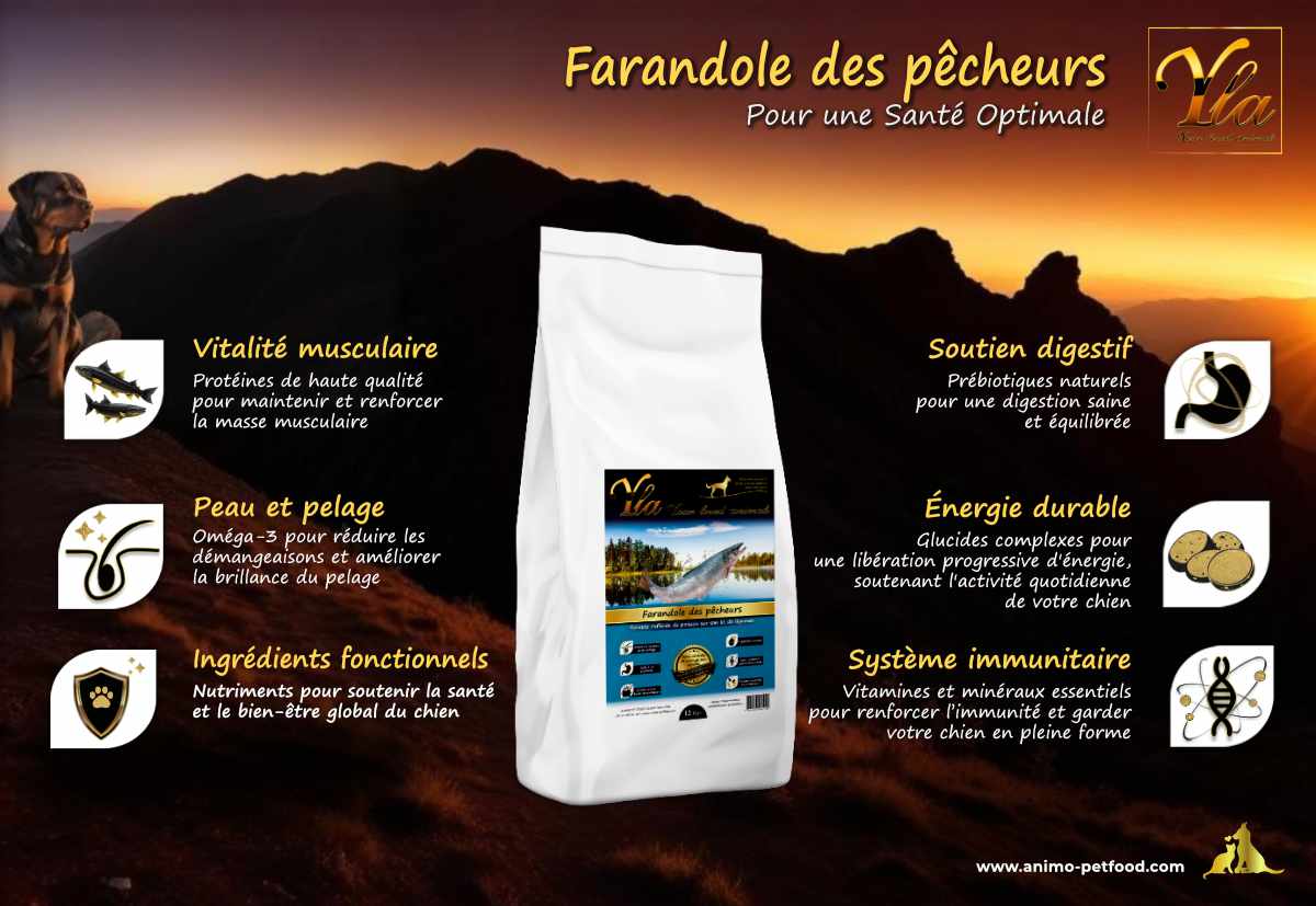 Croquettes sans céréales hypoallergéniques pour chiens de grande race à base de saumon et truite, parfaites pour une nutrition équilibrée