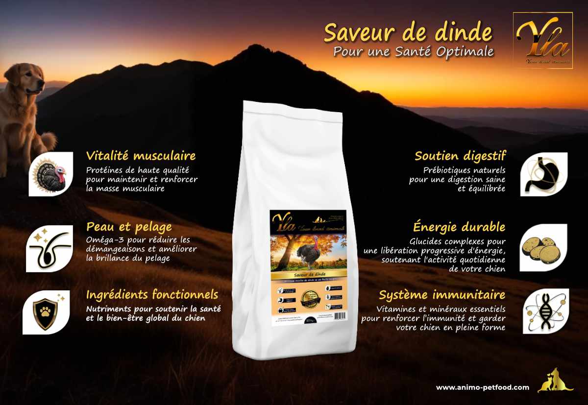 Croquettes sans gluten et sans lactose pour chiens avec allergies alimentaires, formule hypoallergénique pour chiens sensibles.