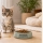 Transition alimentaire du chaton : changer ses croquettes en douceur