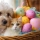  Fête de Pâques attention à votre chien ou votre chat