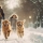 Protéger et Renforcer les Coussinets de Votre Chien en Hiver