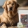 Digestion : friandises fonctionnelles pour chien et chat
