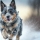 Comment Garder Votre Chien Actif en Hiver : Astuces et Conseils