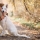 Les avantages nutritionnels de la viande de canard pour la santé des chiens