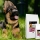 Les croquettes Éveil des papilles : une alimentation de qualité pour les chiots 