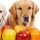 Les chiens, peuvent-ils manger des pommes ?