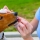 Les soins des yeux pour votre chiot