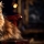 Comprendre l'Anatomie des Articulations du Chat pour des Soins Optimaux