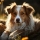 Guide pour le bien-être des chats et des chiens au printemps