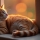 Changement d’heure et chat : comprendre ses réactions et l’aider à s’adapter