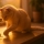 Activité et dépense d’énergie du chat : adapter son rythme au changement d’heure