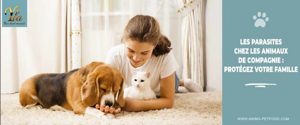 Parasites chez les animaux de compagnie : Impact sur la famille et prévention