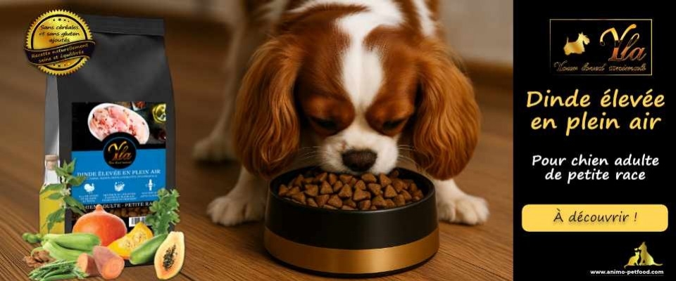 Croquettes à la dinde pour chien de petite race – Naturelles et sans céréales
