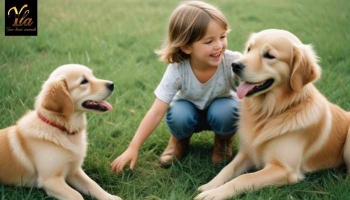 Rôle des friandises pour votre chien