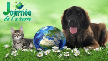 Prendre soin de la Terre avec son animal de compagnie