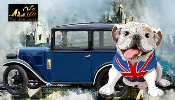 Voyager en voiture avec son chien au Royaume-Uni