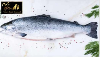 Le saumon : un poisson de choix pour les chiens et les chats
