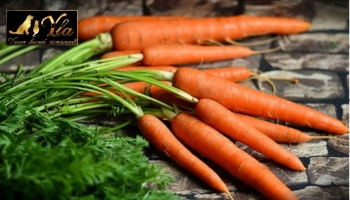 Carottes: super aliment pour nos animaux de compagnie