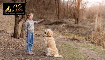 Relation de l’enfant et du chien