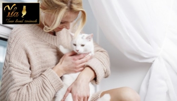 Croquettes sans céréales pour chat