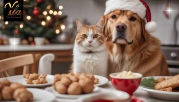 Chiens et chats : les aliments à proscrire à Noël