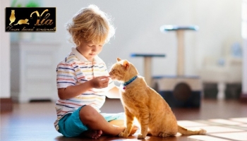 Interactions et cohabitation entre les enfants et les chats 