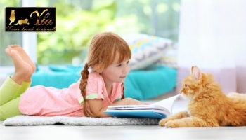 Les enfants et les chats ensemble : 7 choses à savoir